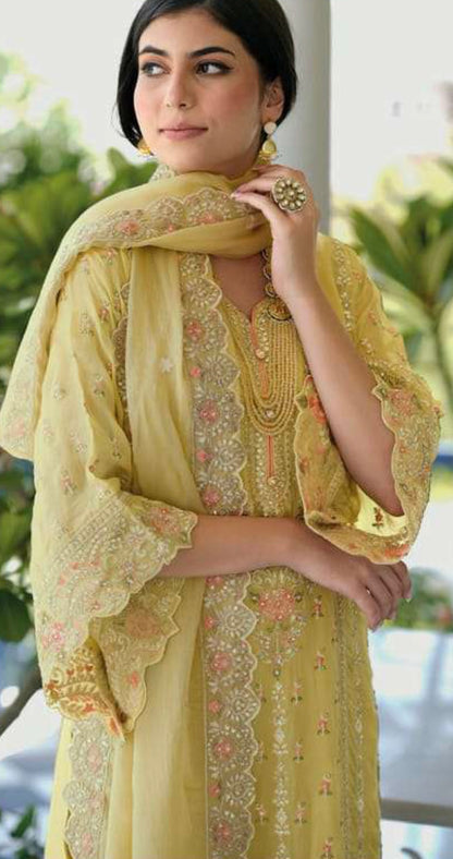 C9056C51-00FF-4BA8-8C96-ACAD5A4F2B4E - Kurti Connection USA