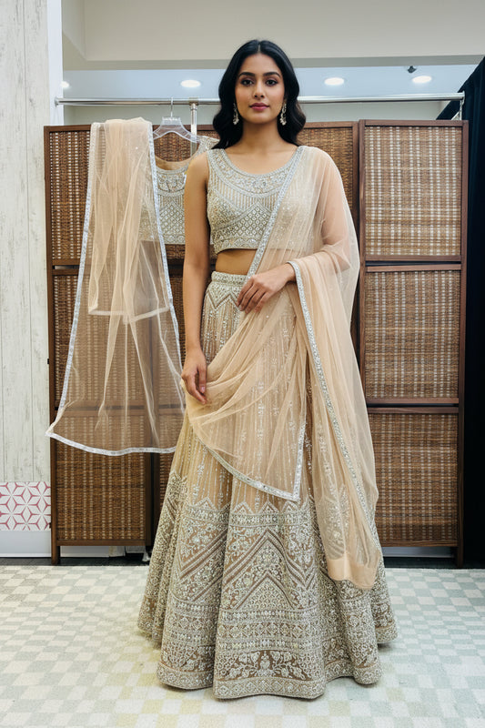 Heavy party wear lehenga Choli set