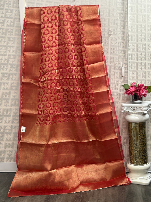 Tissue organza saree by Kurti Connection USA