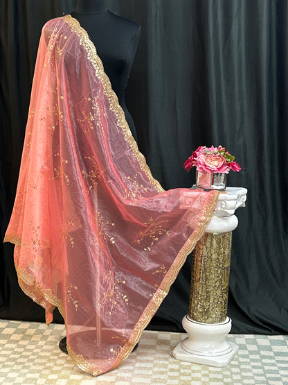 Tissue silk dupatta with sequin work by Kurti Connection USA