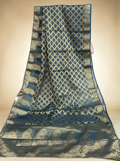 Tissue organza saree by Kurti Connection USA