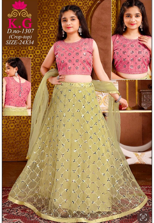 Lehenga Choli set - Kurti Connection USA