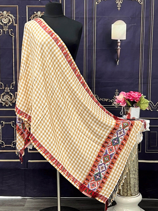 Soft pashmina shawl - Kurti Connection USA