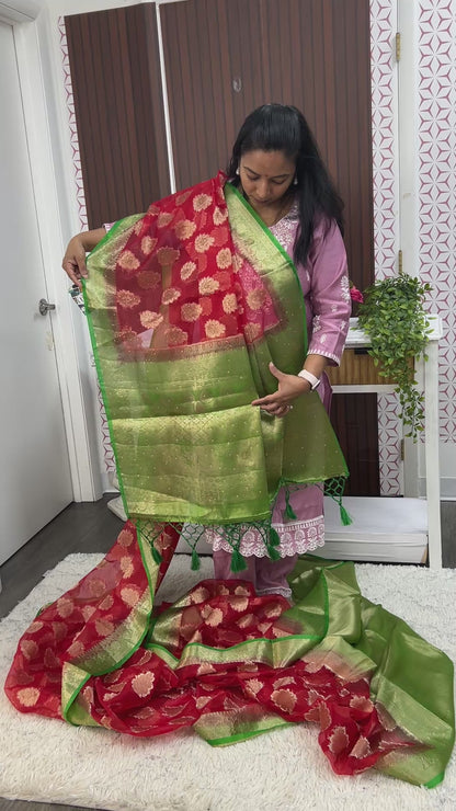 Tissue organza sarees