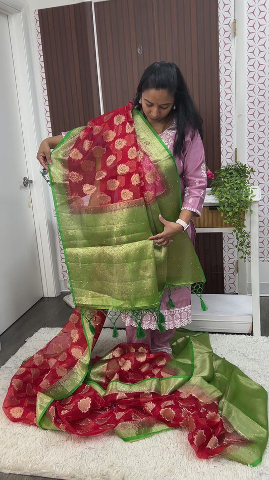 Tissue organza sarees