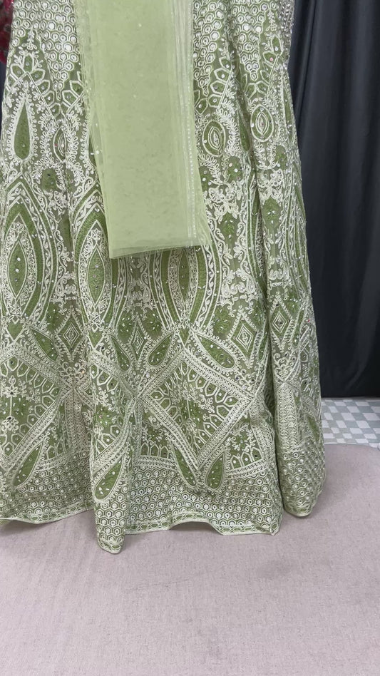 Heavy party wear lehenga Choli set